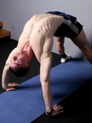 Back Bridge Pro - FitnessFAQs